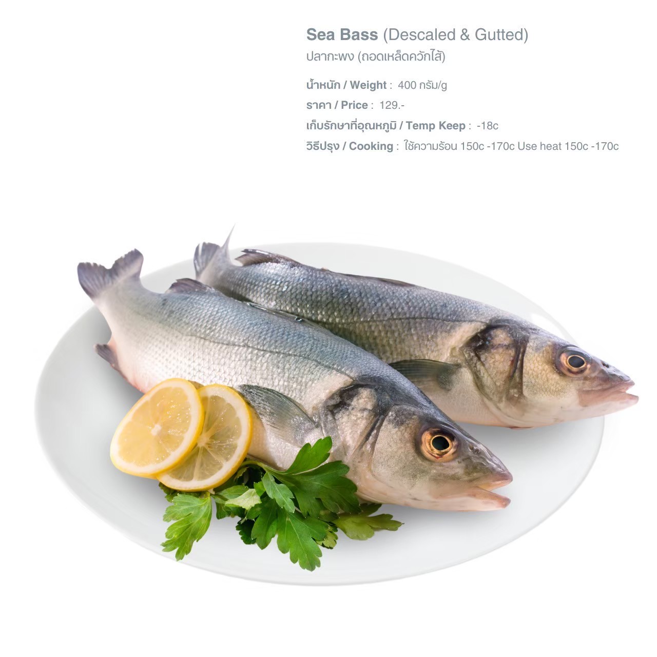 LINE_ALBUM_Q อาหารทะเล น้ำจืด pic_250526_27