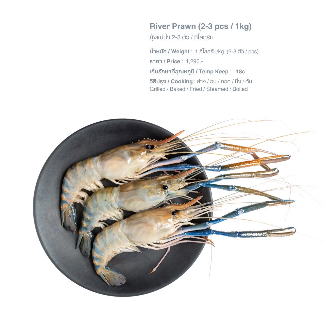 LINE_ALBUM_Q อาหารทะเล น้ำจืด pic_250526_3